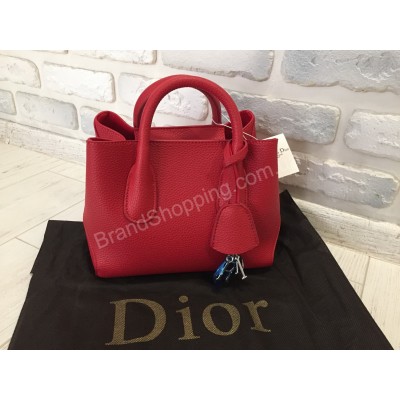 Кожаная сумка Dior красная 788