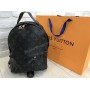 Рюкзак Louis Vuitton 1503