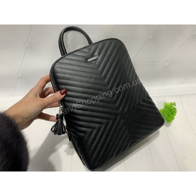 Рюкзак David Jones арт 20398 Рюкзак David Jones арт 20398